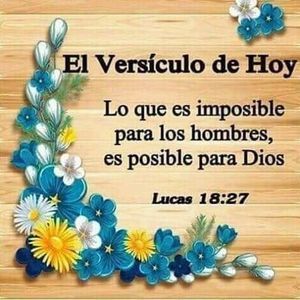 Meet your Posher, Isabel